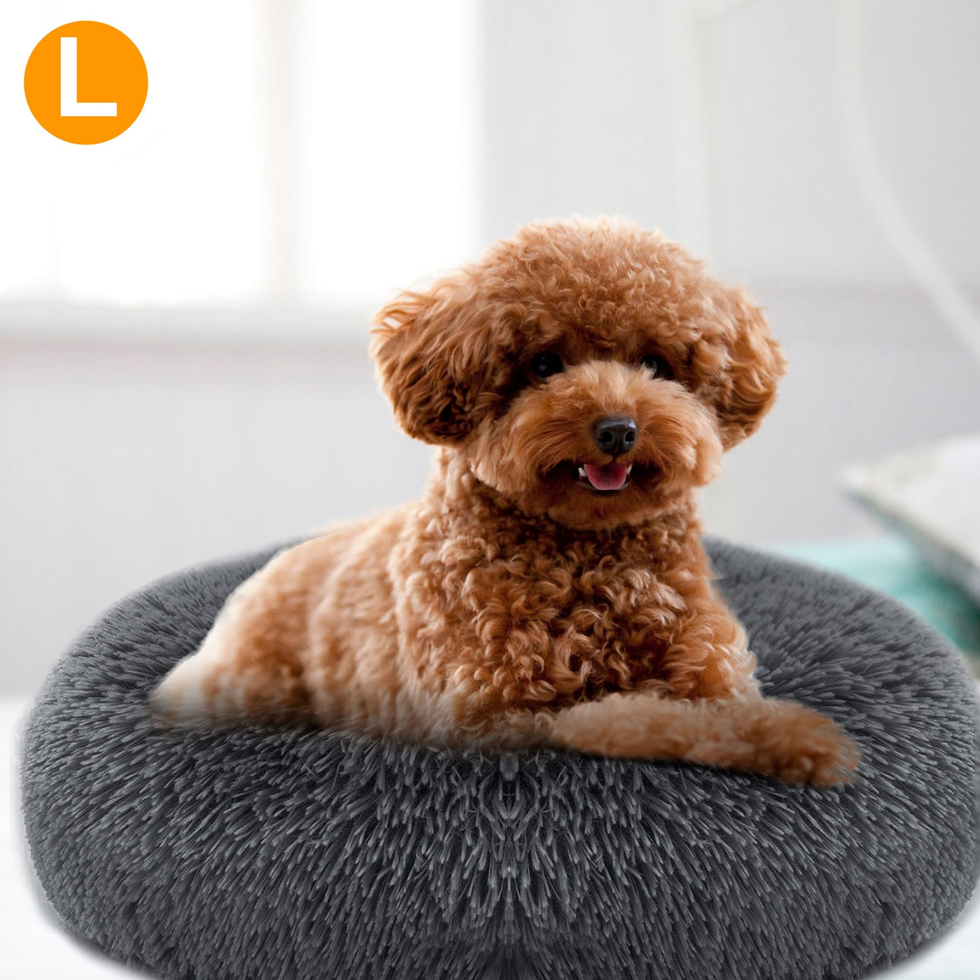 Pet bed with dog