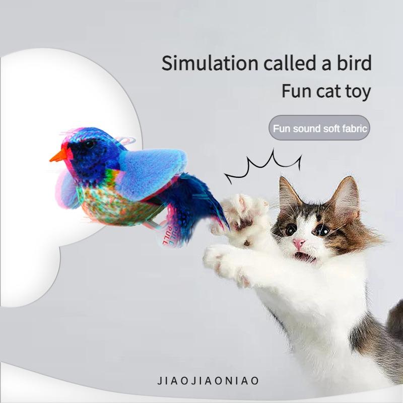 Bird toy lifestyle