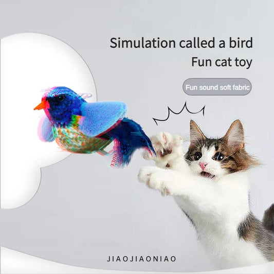 Bird toy lifestyle
