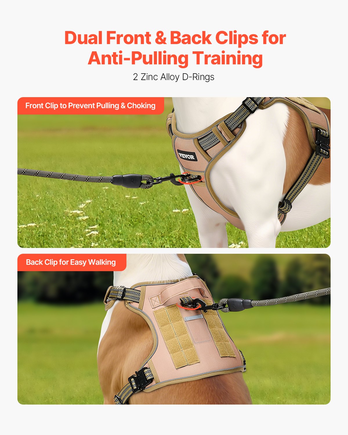 Tactical dog harness on dog