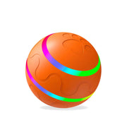 Cat Wicked Ball smart toy