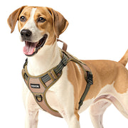 Harness khaki color