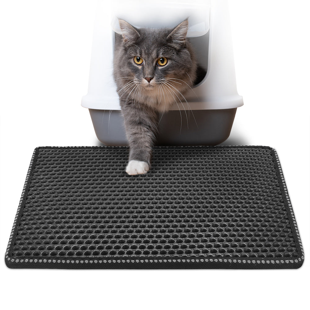 Cat on the litter mat