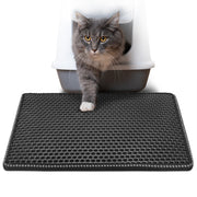 Cat on the litter mat
