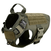 Harness adjustable straps