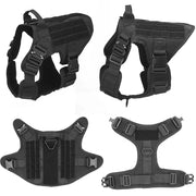 Harness fit on dog