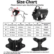Harness with leash